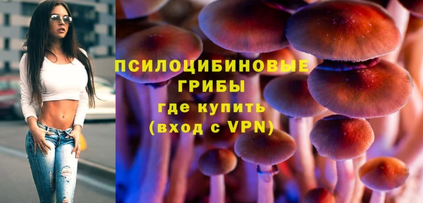 гашик Волоколамск