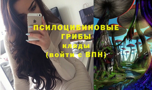 СК Володарск