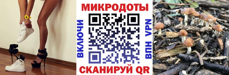 Галлюциногенные грибы Cubensis  Волоколамск 
