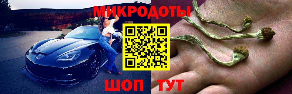 Псилоцибиновые грибы Magic Shrooms  купить   Волоколамск  Вход с VPN 